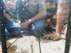 Scouts examine an aquatic display.